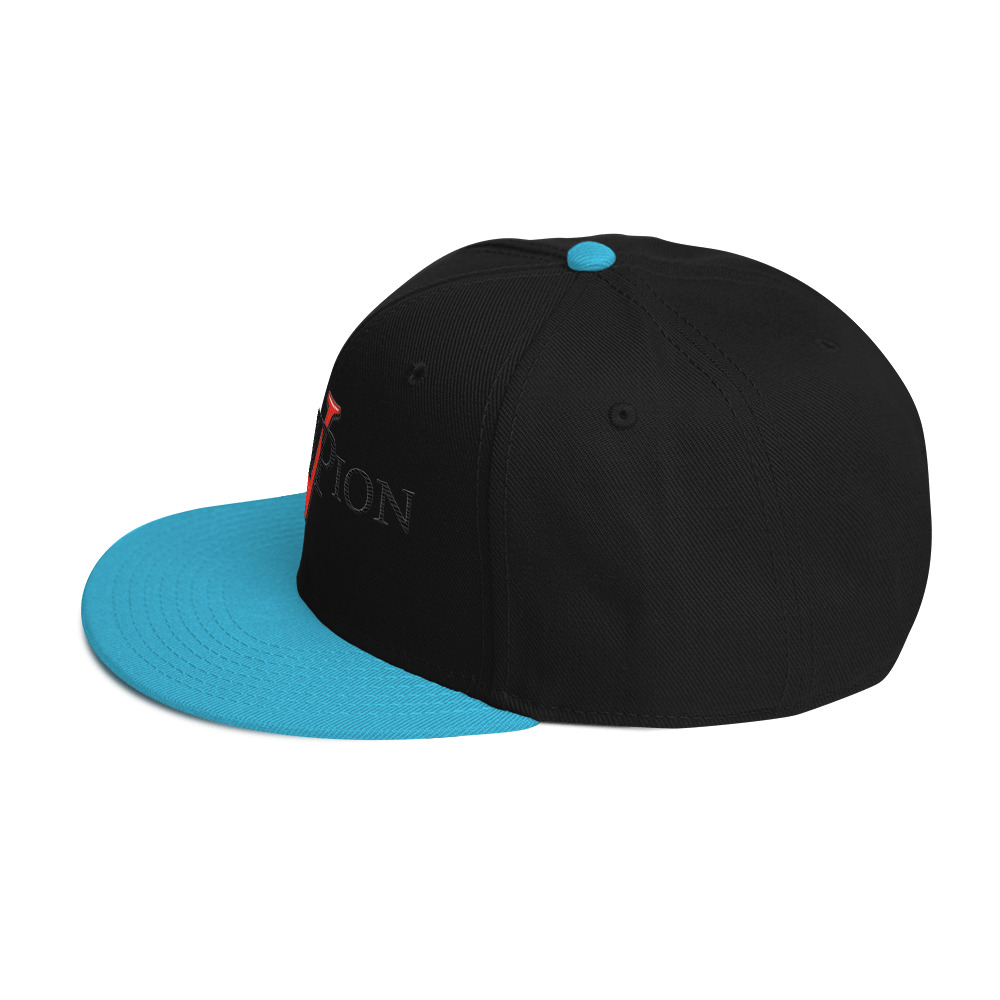 snapback hat snapback hat