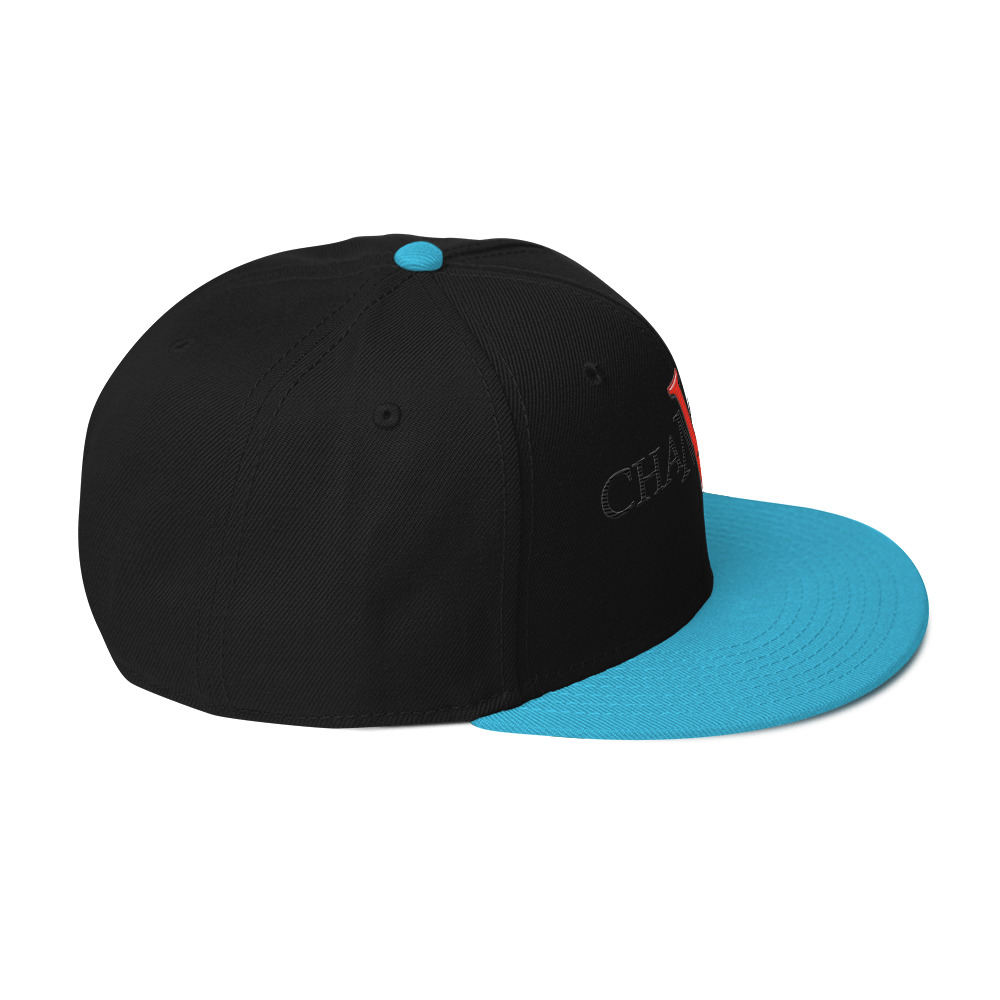 snapback hat snapback hat