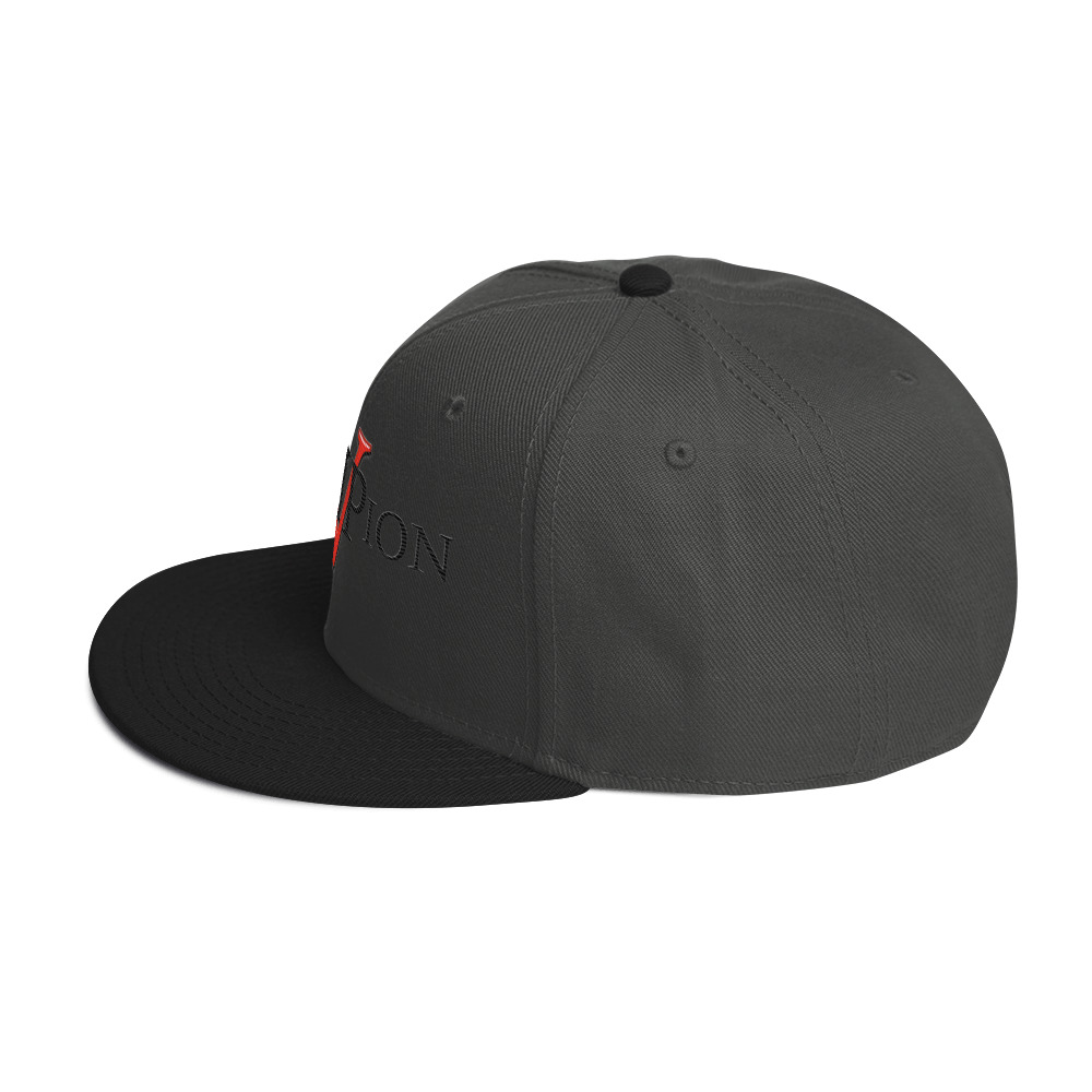 snapback hat snapback hat