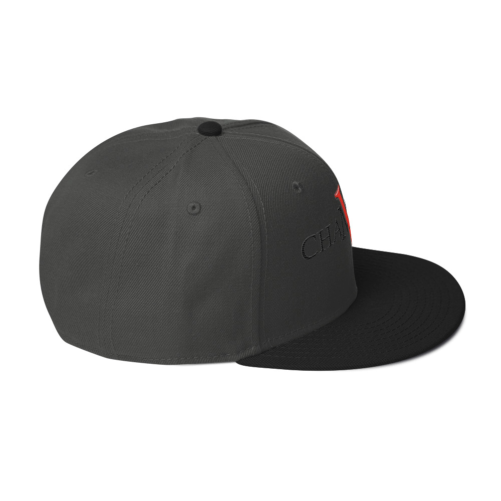 snapback hat snapback hat