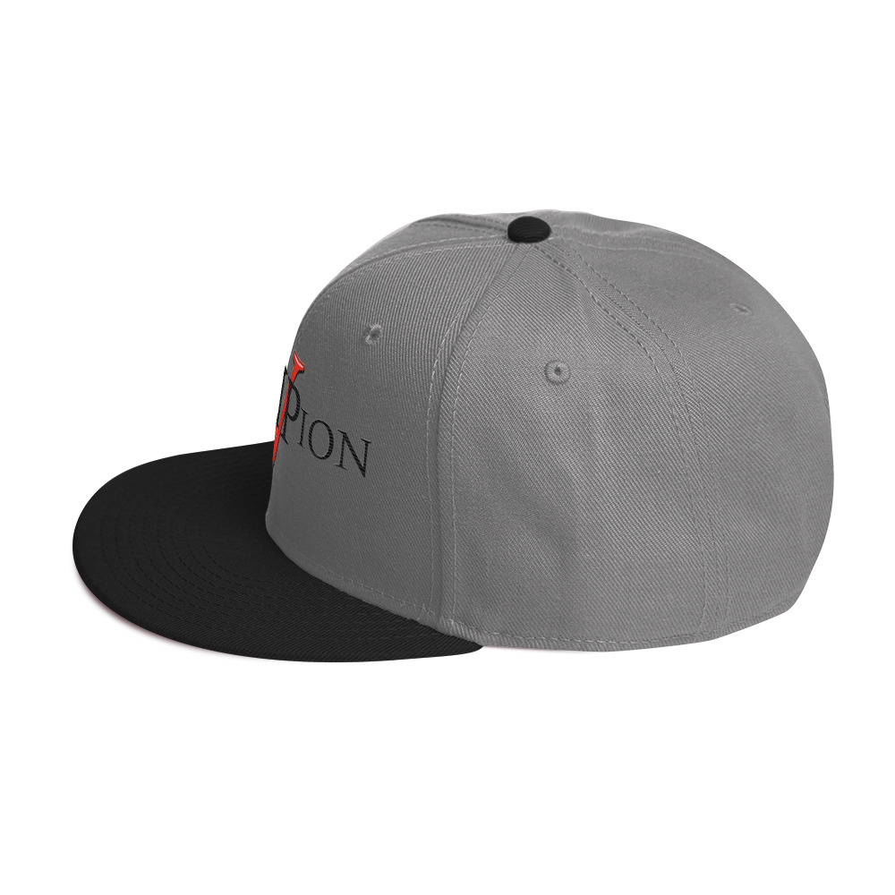 snapback hat snapback hat