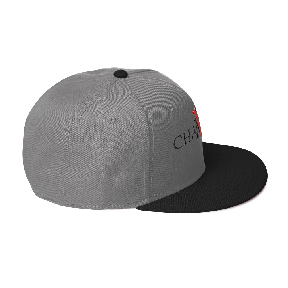 snapback hat snapback hat