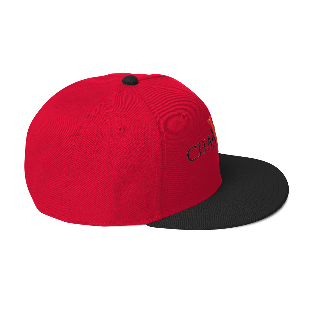 snapback hat snapback hat