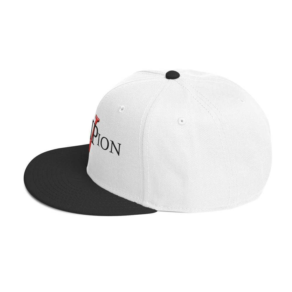 snapback hat snapback hat