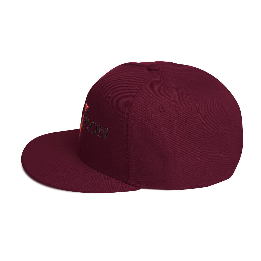 snapback hat snapback hat