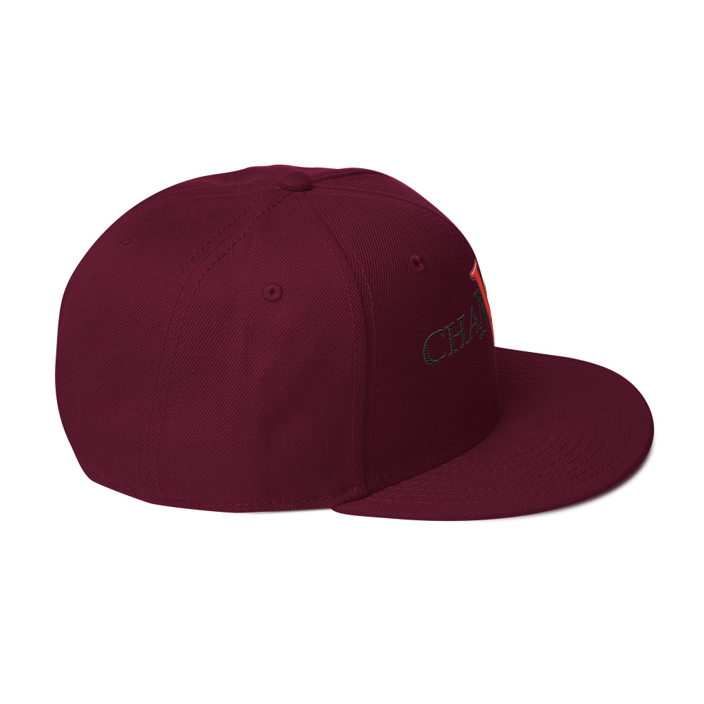 snapback hat snapback hat