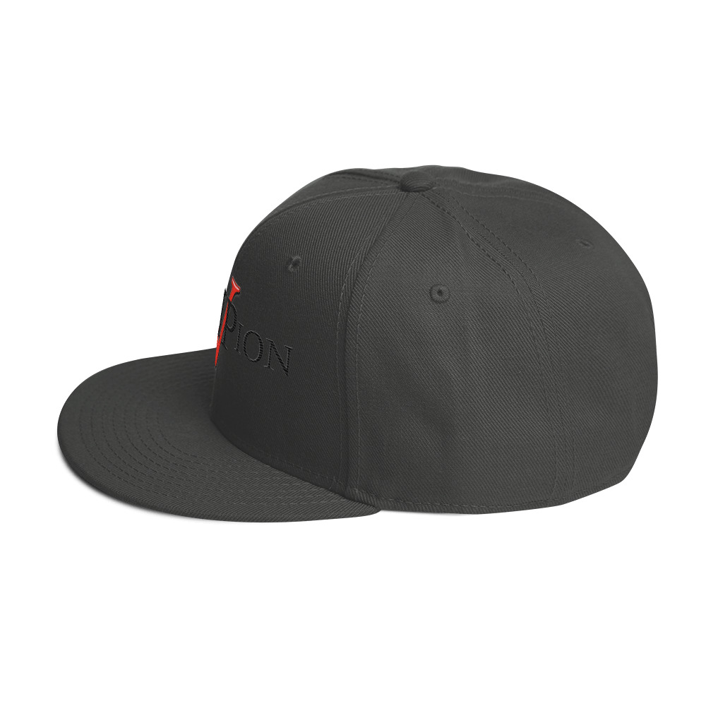 snapback hat snapback hat