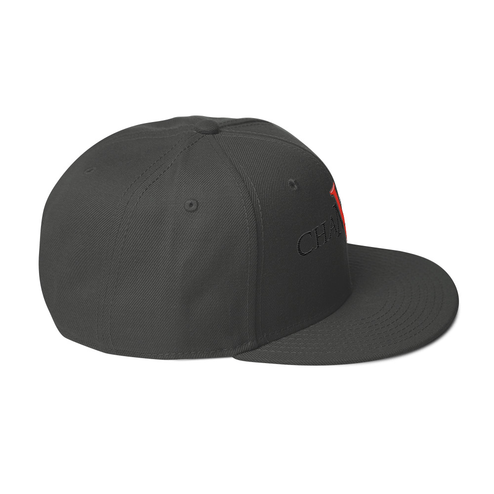 snapback hat snapback hat