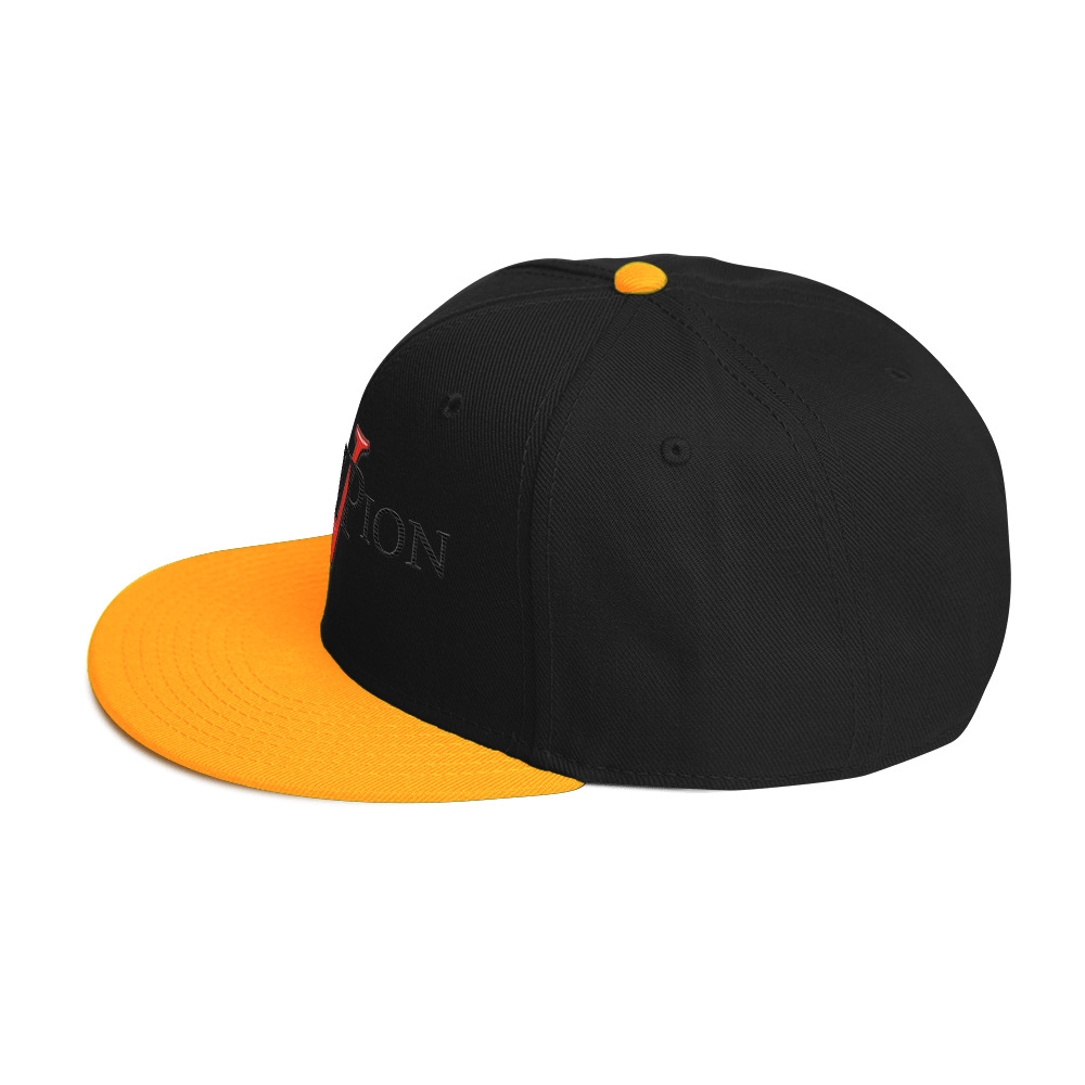 snapback hat snapback hat