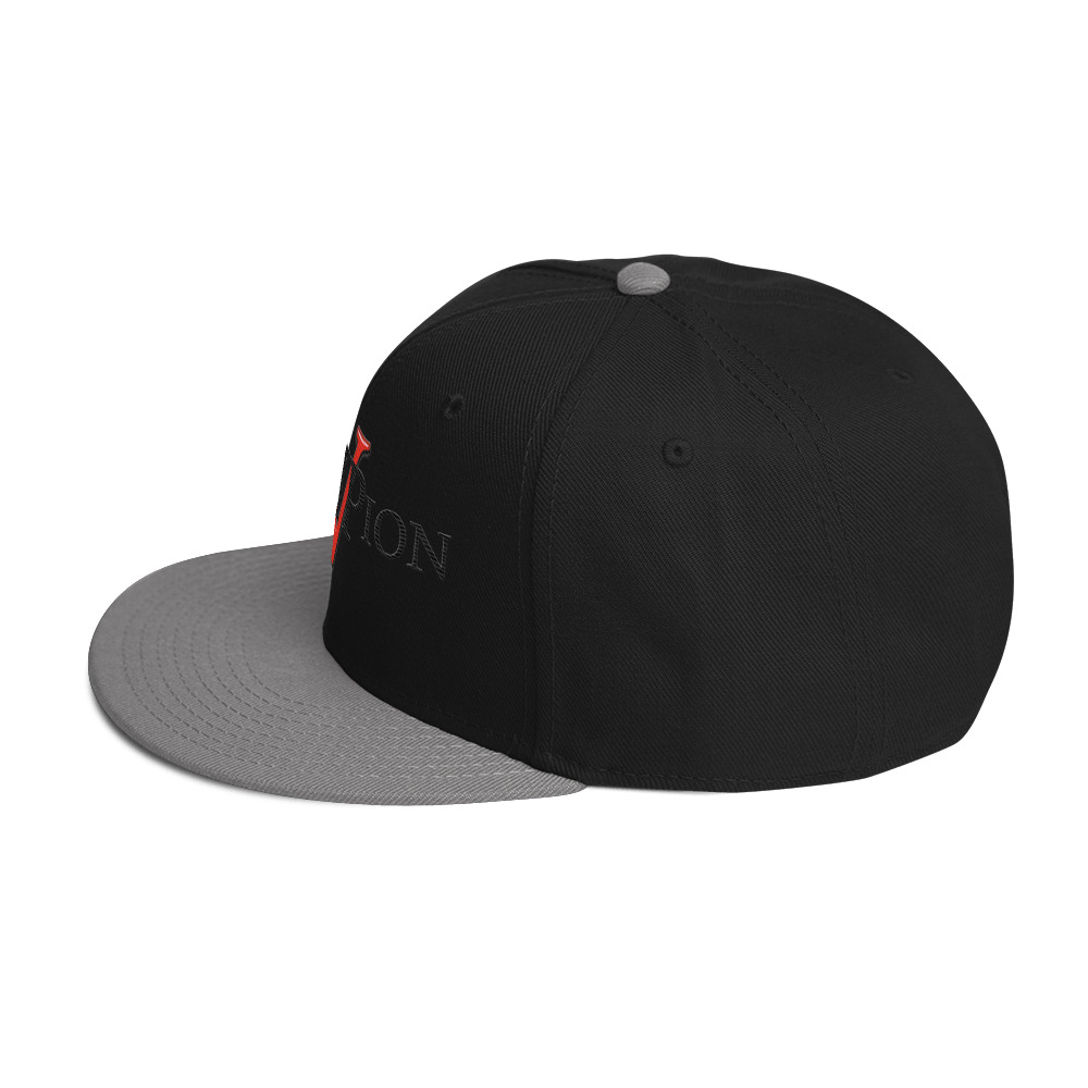 snapback hat snapback hat