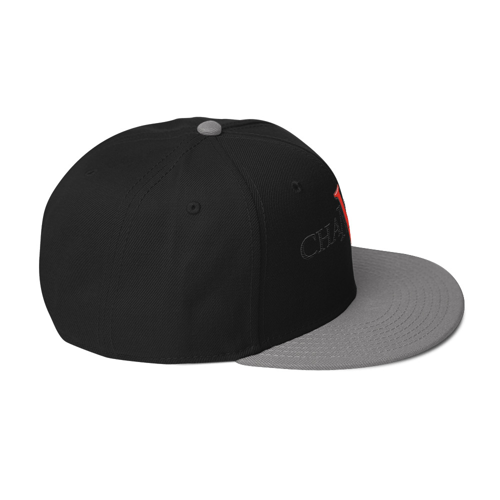snapback hat snapback hat