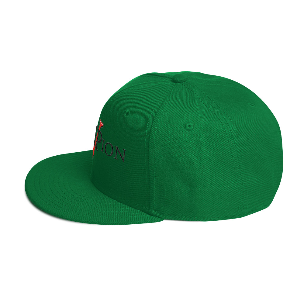 snapback hat snapback hat