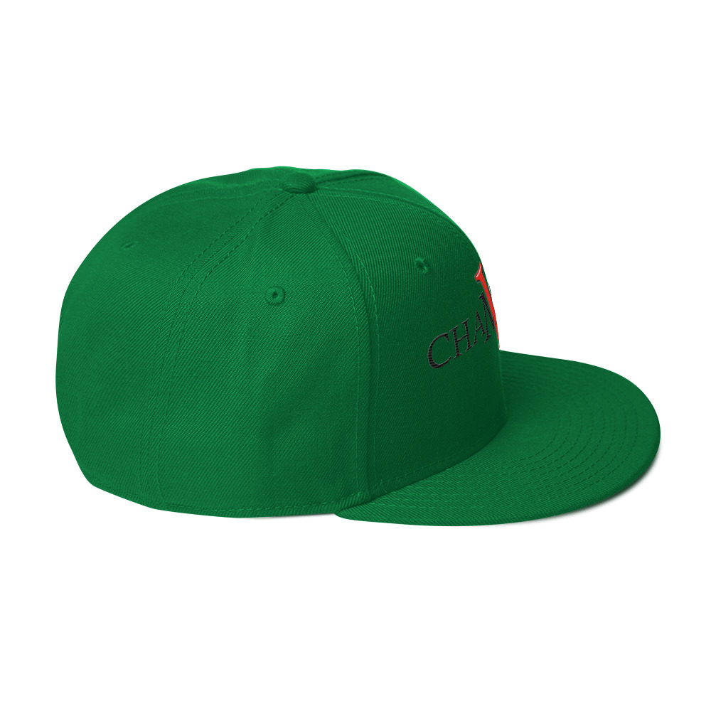 snapback hat snapback hat