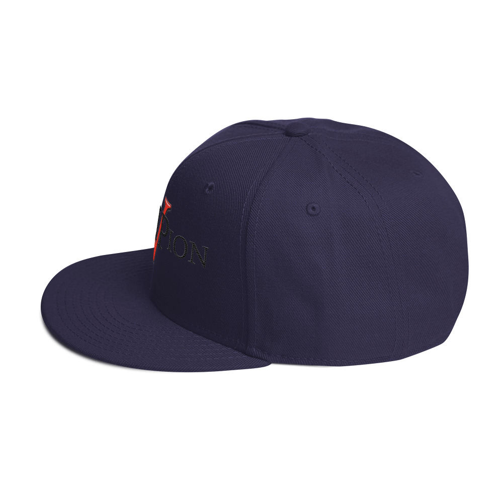 snapback hat snapback hat