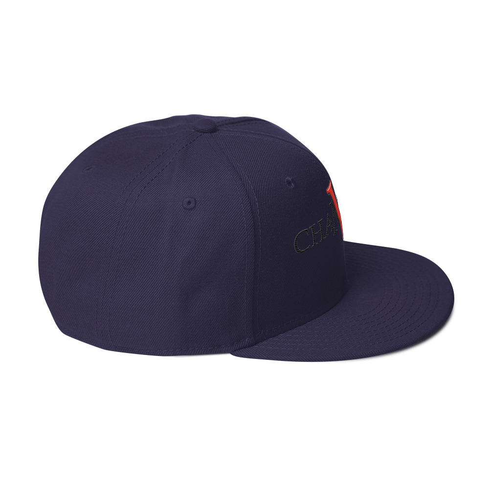 snapback hat snapback hat