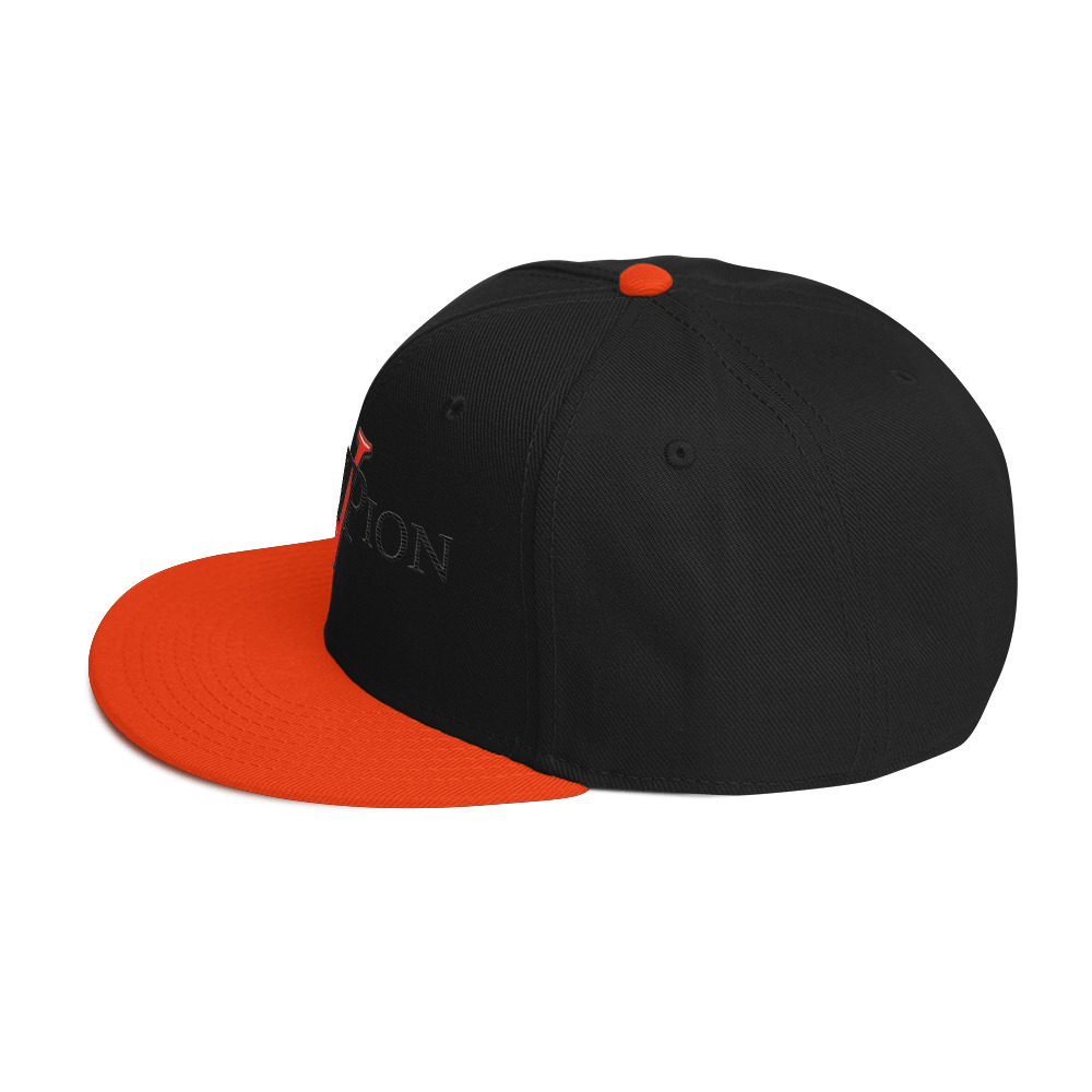snapback hat snapback hat