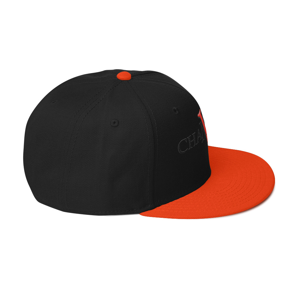 snapback hat snapback hat