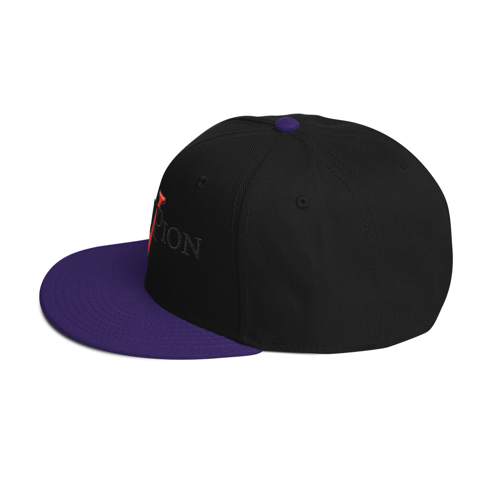 snapback hat snapback hat