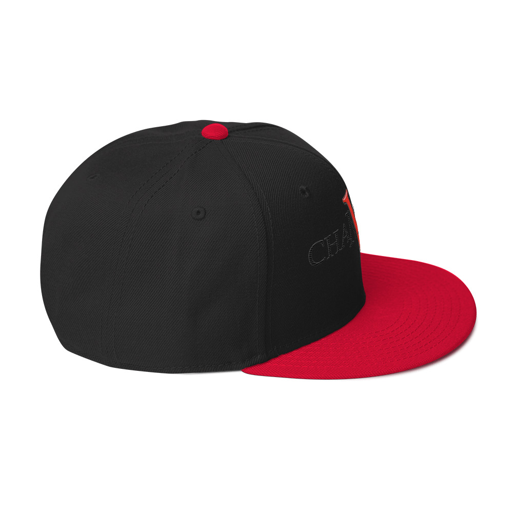 snapback hat snapback hat
