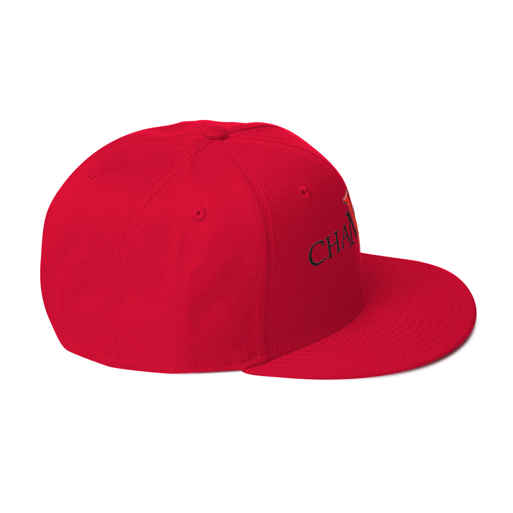 snapback hat snapback hat