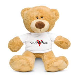 teddy bear with a t shirt